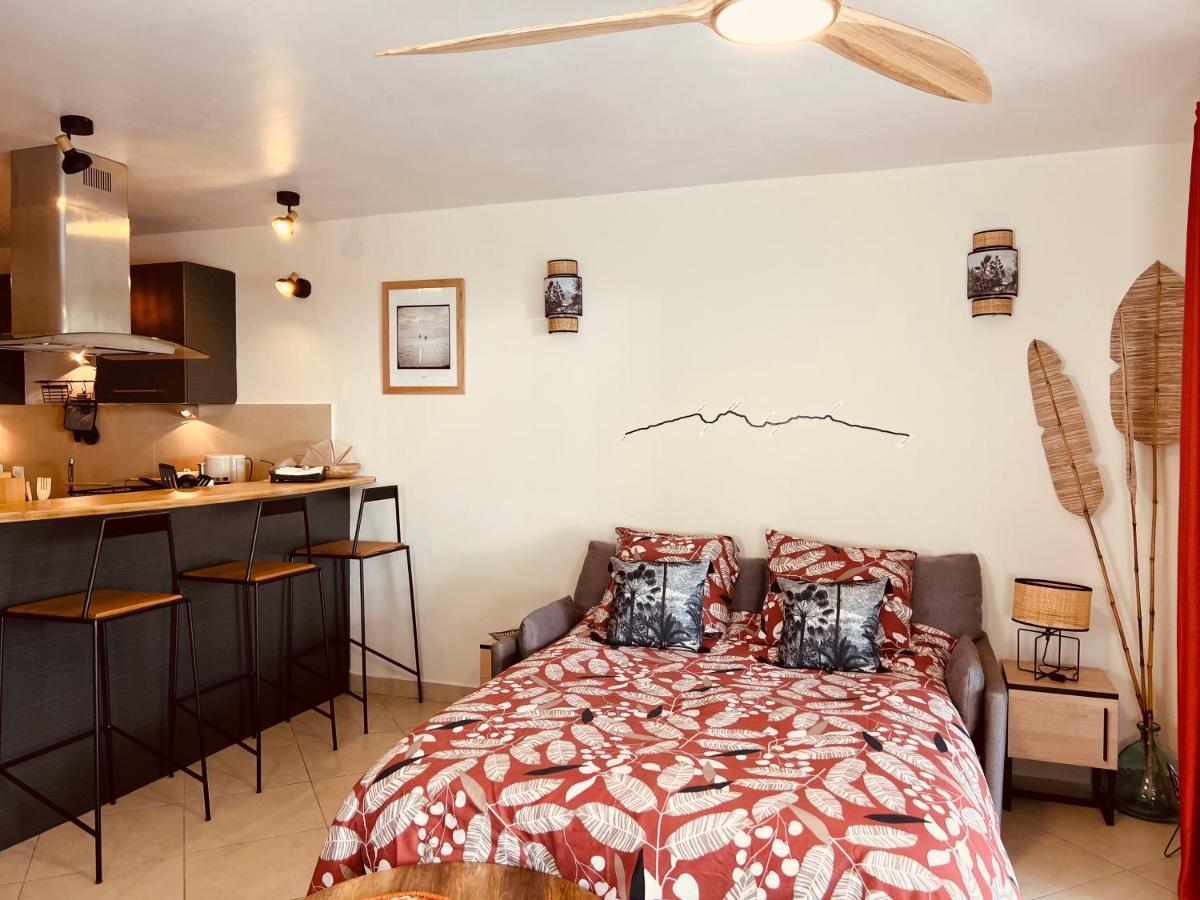 Cosy Letchis Apartment Saint Pierre Luaran gambar